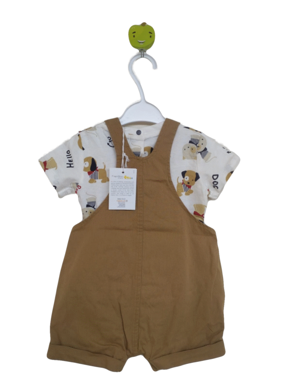 Babies Bib Tee Set